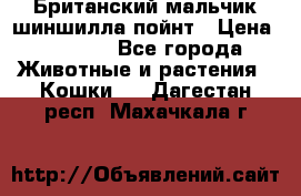 Британский мальчик шиншилла-пойнт › Цена ­ 5 000 - Все города Животные и растения » Кошки   . Дагестан респ.,Махачкала г.
